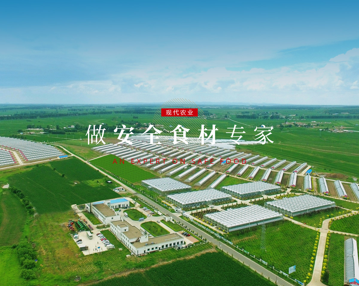 banner5_p9615812 中国4688美高梅集团(股份)有限公司-官方网站